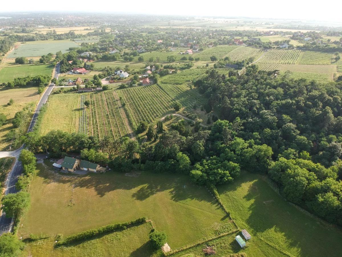 Pilikan Apartments - Park, Agroturism, Vineyard & Farm Cserszegtomaj Exterior photo