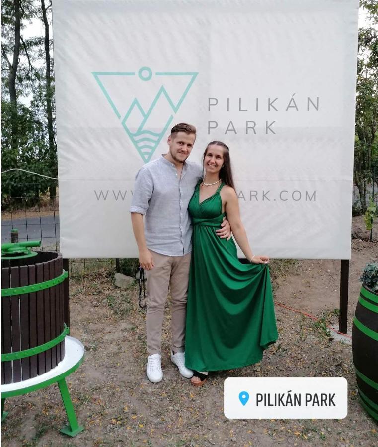 Pilikan Apartments - Park, Agroturism, Vineyard & Farm Cserszegtomaj Exterior photo